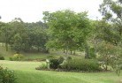 Betleyresidential-landscaping-40.jpg; ?>