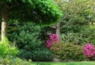 Betleyresidential-landscaping-74.jpg; ?>